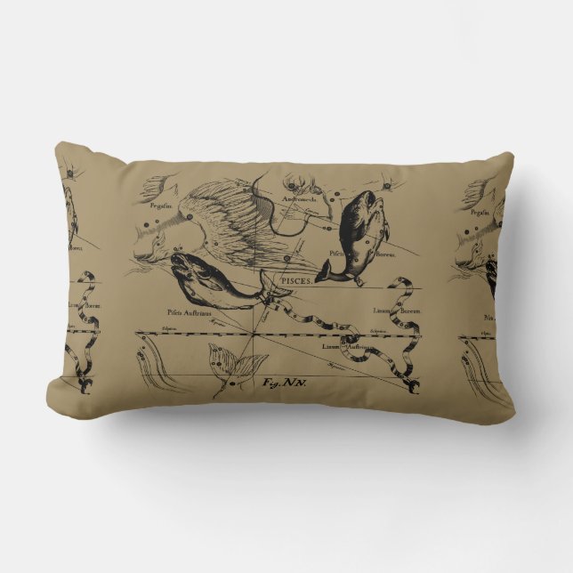 Pisces Constellation Hevelius 1690 Engraving Lumbar Pillow (Front)