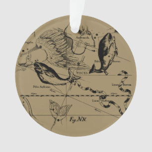 Pisces Constellation Hevelius 1690 Engraving Ornament