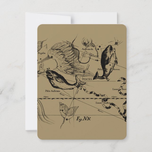 Pisces Constellation Hevelius 1690 Feb19 -March 20 (Front)