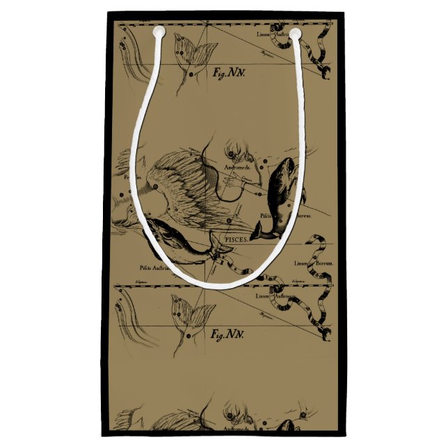 Pisces Constellation Hevelius 1690 Feb19 -March 20 Small Gift Bag (Front)