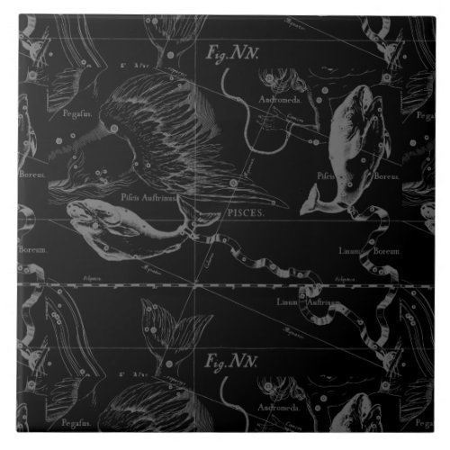 Pisces Constellation Hevelius 1690 on Black Ceramic Tile