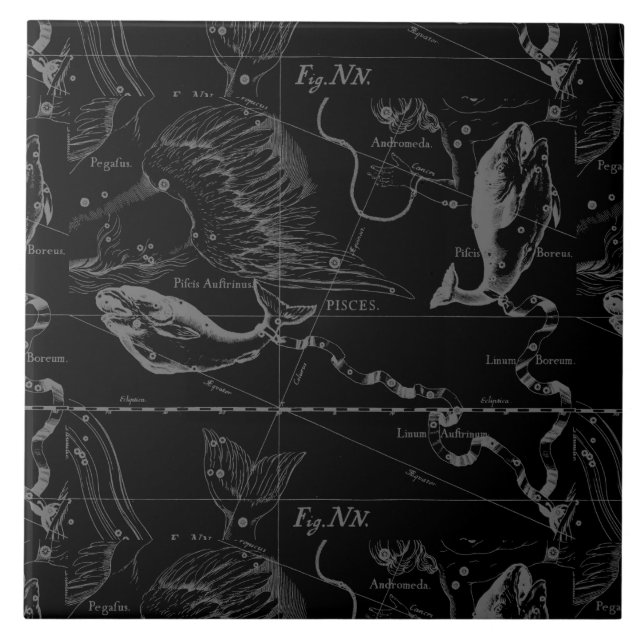 Pisces Constellation Hevelius 1690 on Black Ceramic Tile (Front)