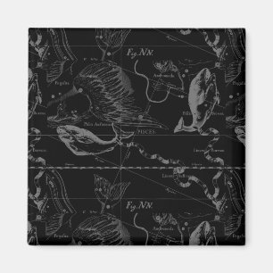 Pisces Constellation Hevelius 1690 on Black Magnet
