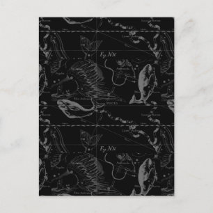 Pisces Constellation Hevelius 1690 on Black Postcard
