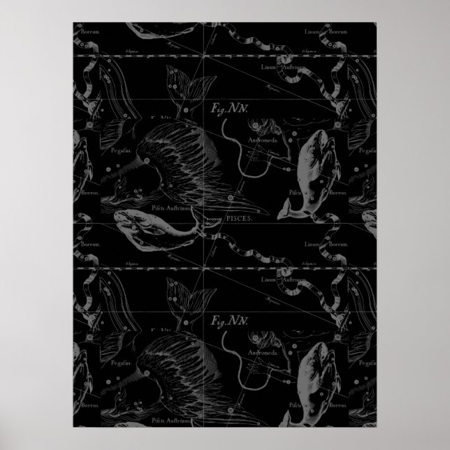 Pisces Constellation Hevelius 1690 on Black Poster (Front)