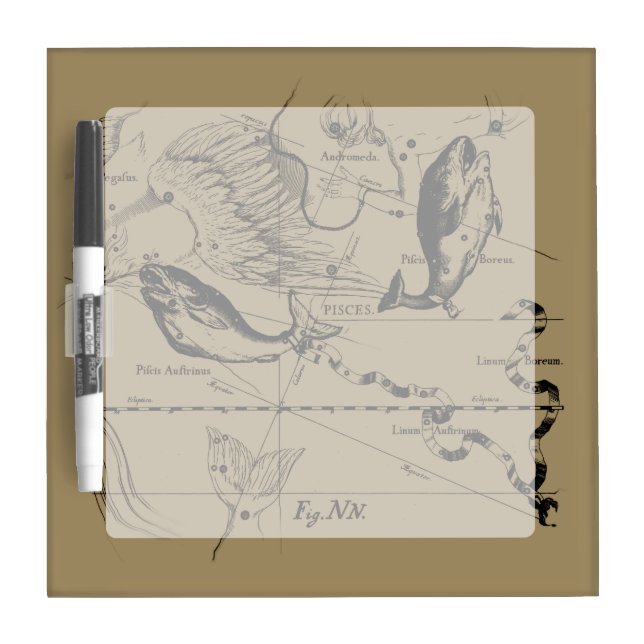 Pisces Constellation Hevelius 1690 on Taupe Dry Erase Board (Front)