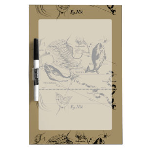 Pisces Constellation Hevelius 1690 on Taupe Dry-Erase Board