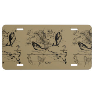 Pisces Constellation Hevelius circa 1690 License Plate
