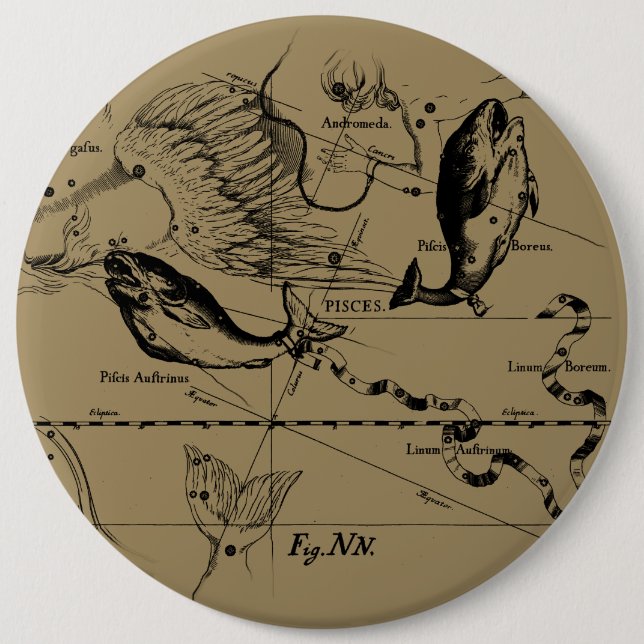 Pisces Constellation Hevelius circa 1690 Pinback Button (Front)