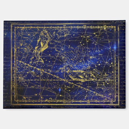 pisces constellation magnet