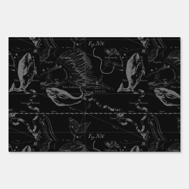 Pisces Constellation Map by Hevelius 1690 Sign (Front)