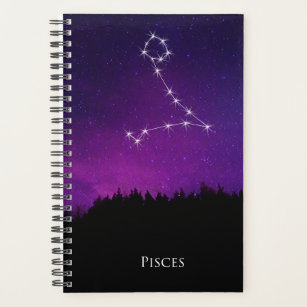 Pisces Constellation Night Sky Astrology Symbol Planner