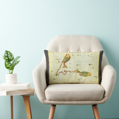 Pisces Fish Vintage Constellation Uranias Mirror Lumbar Pillow