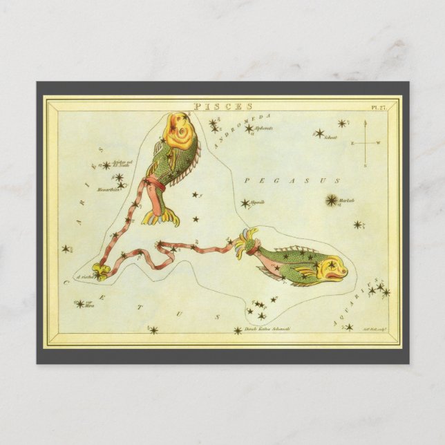 Pisces Fish, Vintage Constellation Urania's Mirror Postcard (Front)
