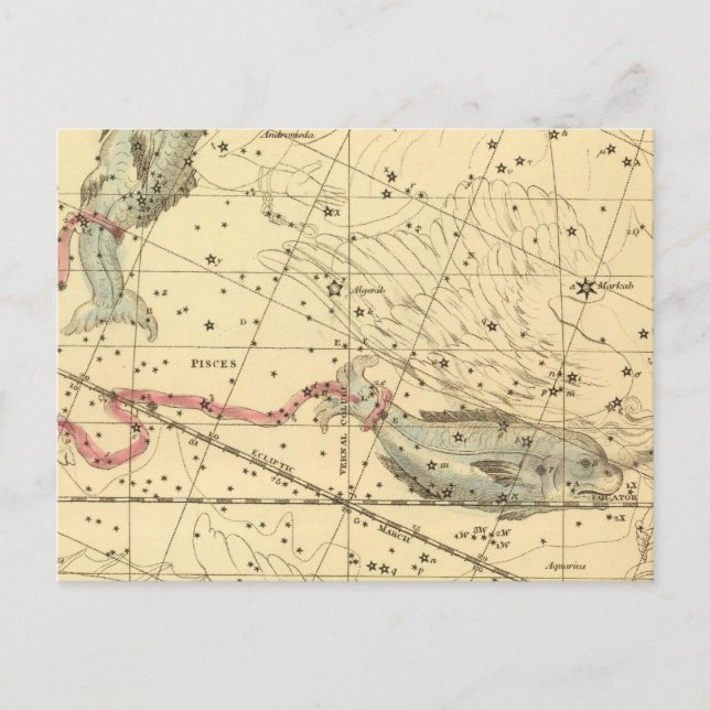Pisces Postcard (Front)