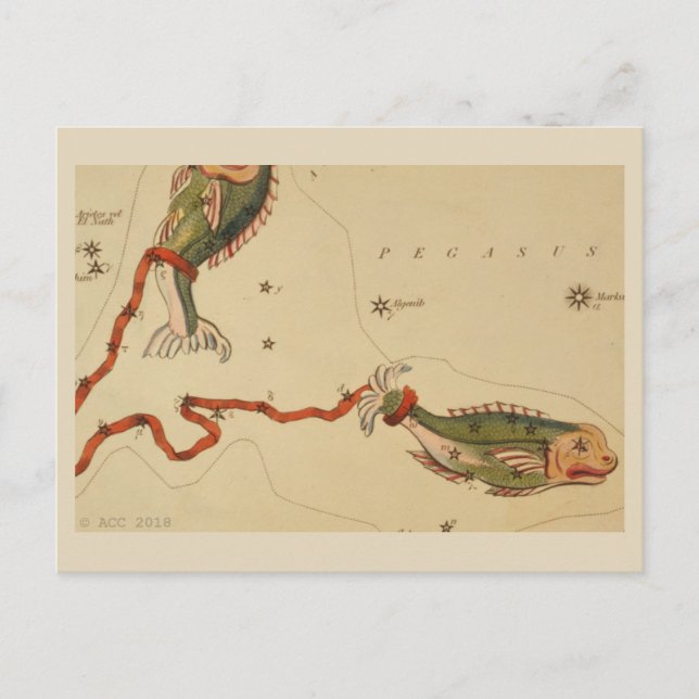 Pisces Zodiac Sign Postcard (Front)