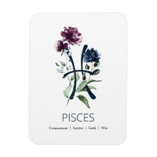 Pisces Zodiac Star Sign Magnet