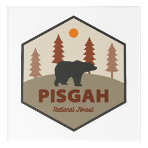 Pisgah National Forest Bear Acrylic Print