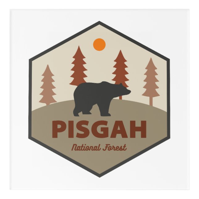 Pisgah National Forest Bear Acrylic Print (Front)