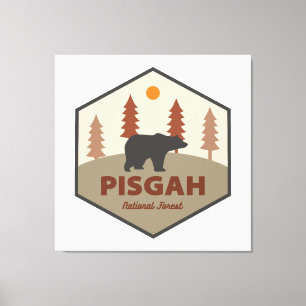 Pisgah National Forest Bear Canvas Print