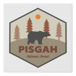 Pisgah National Forest Bear Faux Canvas Print