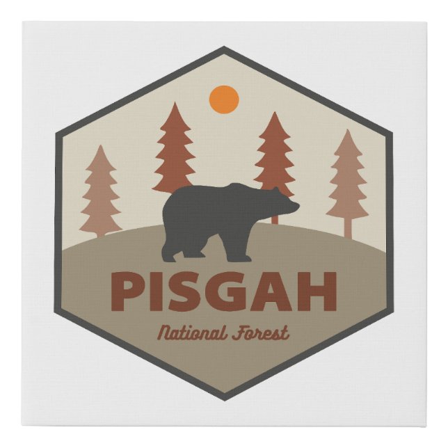 Pisgah National Forest Bear Faux Canvas Print (Front)