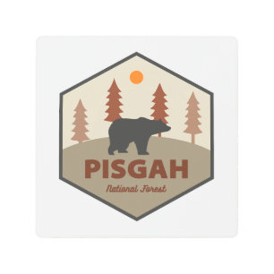 Pisgah National Forest Bear Metal Print