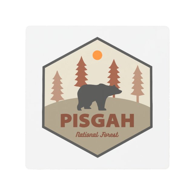 Pisgah National Forest Bear Metal Print (Front)