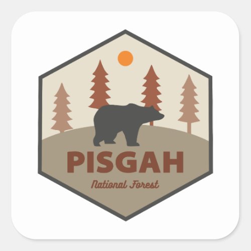 Pisgah National Forest Bear Square Sticker