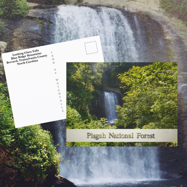 Pisgah National Forest Blue Ridge Mountains Postcard (Creator Uploaded)