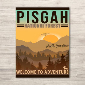 Pisgah National Forest North Carolina Postcard