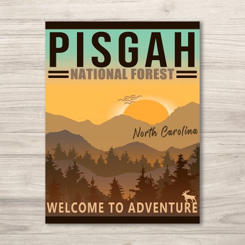 Pisgah National Forest North Carolina Postcard