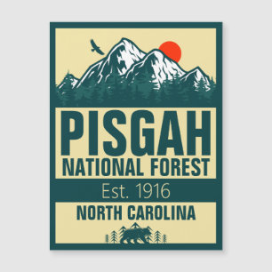 Pisgah National Forest North Carolina - Retro