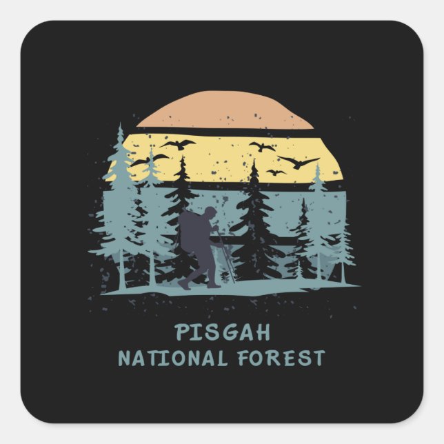Pisgah National Forest Square Sticker (Front)