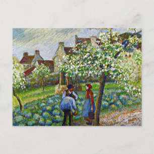 Pissarro - Flowering Plum Trees Postcard
