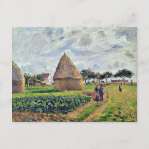 PISSARRO - HAYSTACKS AND CABBAGE PATCH, POSTCARD