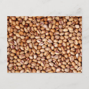 Pistachio Nuts Postcard