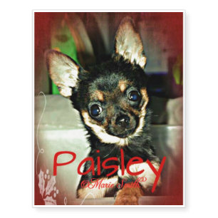 Pistol Packing Lady Paisley Marie Temporary Tattoos