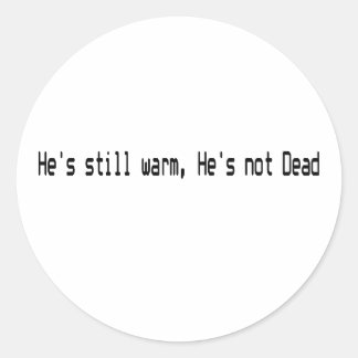 Pit Babe Classic Round Sticker