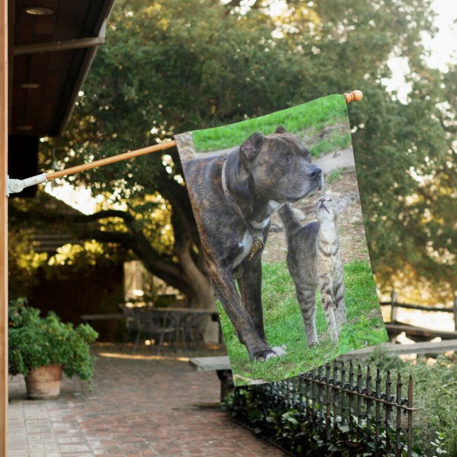 Pit Bull and Cat House Flag (In SItu)