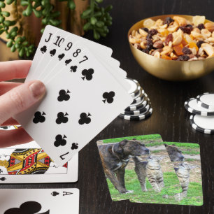 Pit Bull and Cat Poker Cards