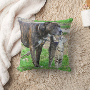 Pit Bull and Cat Throw Pillow