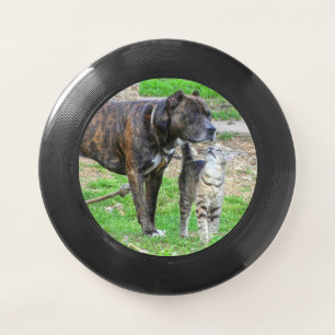 Pit Bull and Cat Wham-O Frisbee