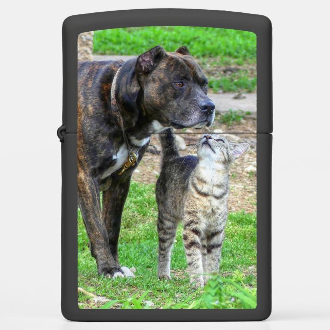 Pit Bull and Cat Zippo Lighter (Front)