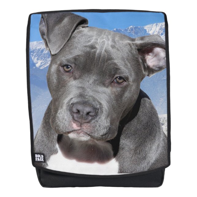 Pit Bull Backpack (Front)