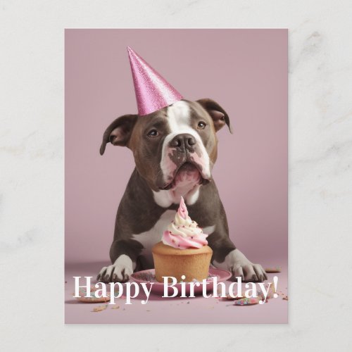 Pit Bull Birthday Celebration  Postcard