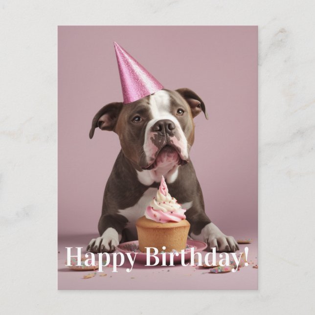 Pit Bull Birthday Celebration  Postcard (Front)