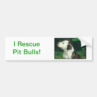 Pit Bull Bumper Stickers - Car Stickers | Zazzle