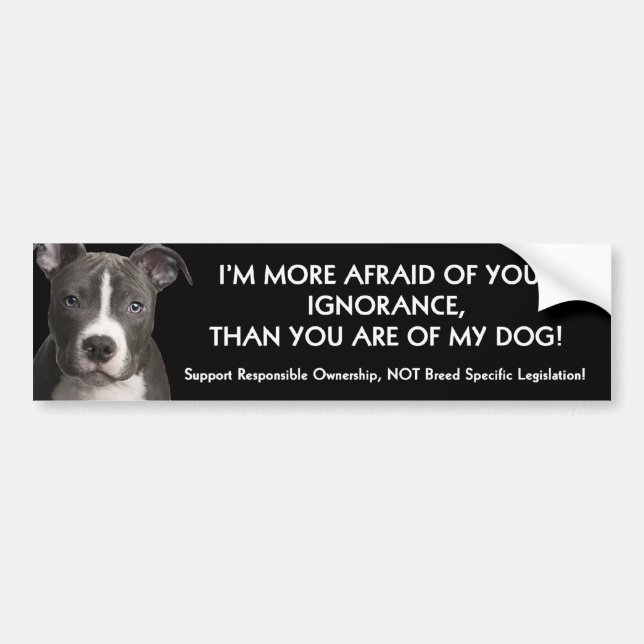 Pit Bull Bumper Sticker Anti - BSL (Front)