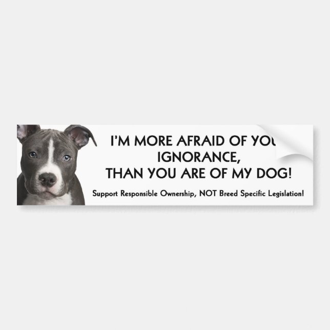 Pit Bull Bumper Sticker (white) Anti - BSL (Front)